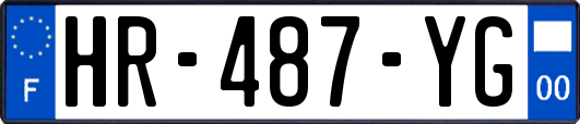 HR-487-YG