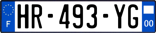 HR-493-YG