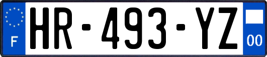 HR-493-YZ