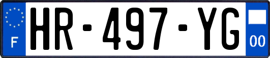 HR-497-YG