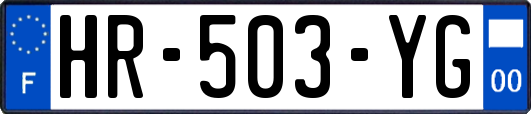 HR-503-YG