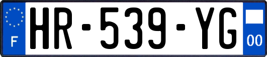 HR-539-YG