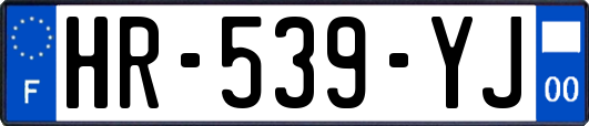 HR-539-YJ
