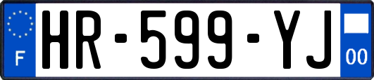 HR-599-YJ