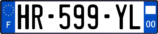 HR-599-YL