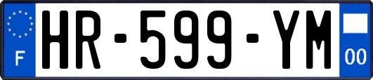 HR-599-YM