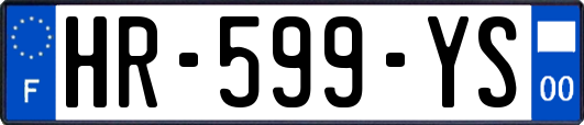 HR-599-YS