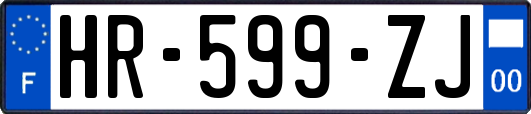 HR-599-ZJ