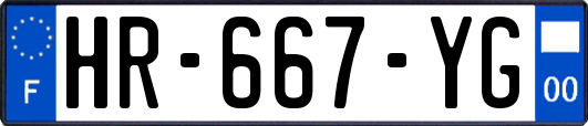 HR-667-YG