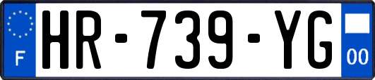 HR-739-YG