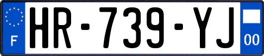 HR-739-YJ