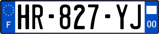 HR-827-YJ