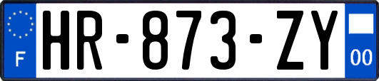 HR-873-ZY