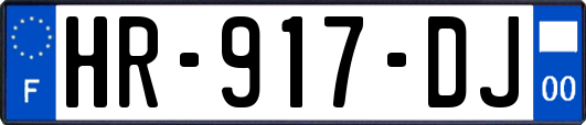 HR-917-DJ