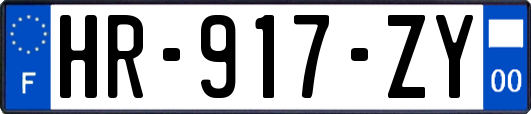 HR-917-ZY