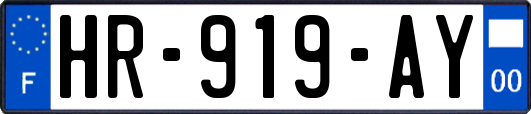 HR-919-AY