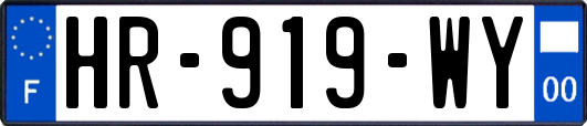 HR-919-WY