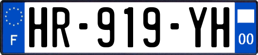 HR-919-YH