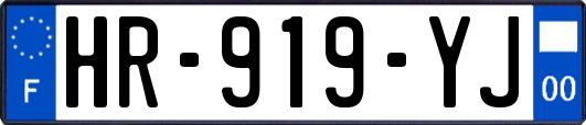 HR-919-YJ