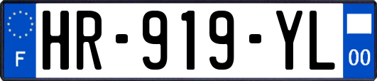 HR-919-YL