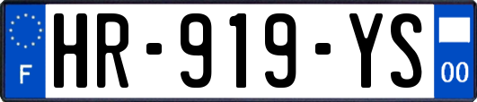 HR-919-YS