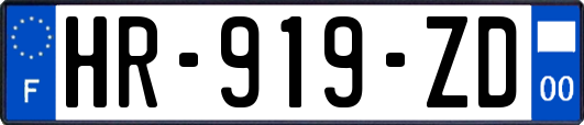 HR-919-ZD