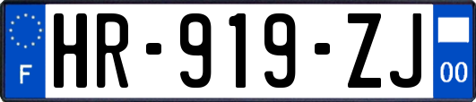 HR-919-ZJ