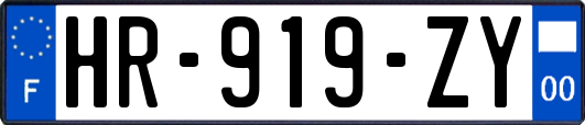HR-919-ZY