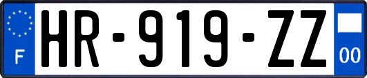 HR-919-ZZ