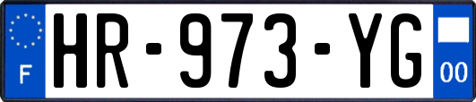 HR-973-YG