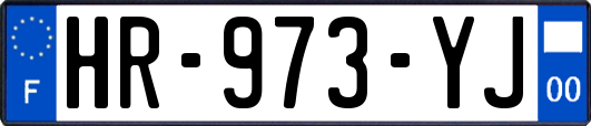 HR-973-YJ