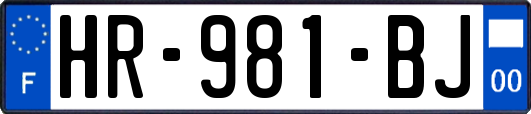 HR-981-BJ
