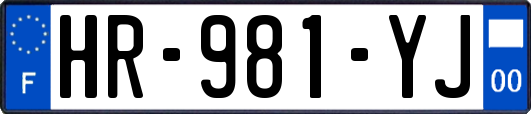 HR-981-YJ