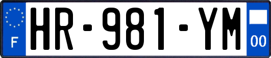 HR-981-YM
