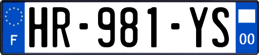 HR-981-YS