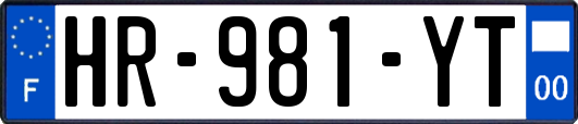 HR-981-YT