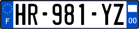 HR-981-YZ