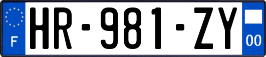 HR-981-ZY