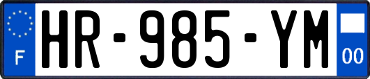 HR-985-YM