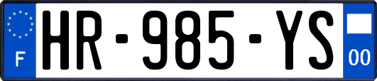 HR-985-YS
