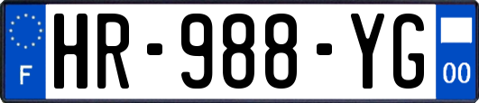 HR-988-YG