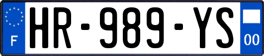 HR-989-YS