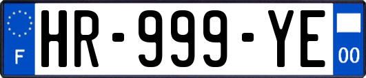 HR-999-YE