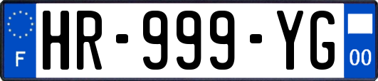 HR-999-YG