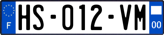 HS-012-VM
