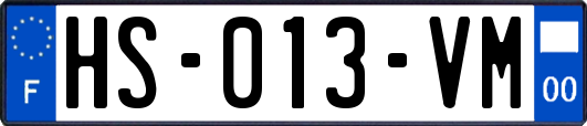 HS-013-VM
