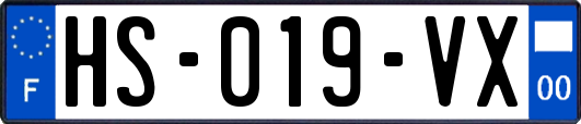 HS-019-VX