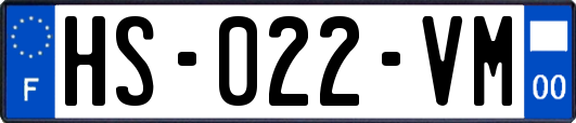 HS-022-VM