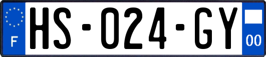 HS-024-GY