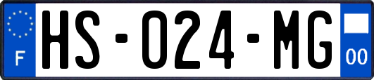 HS-024-MG